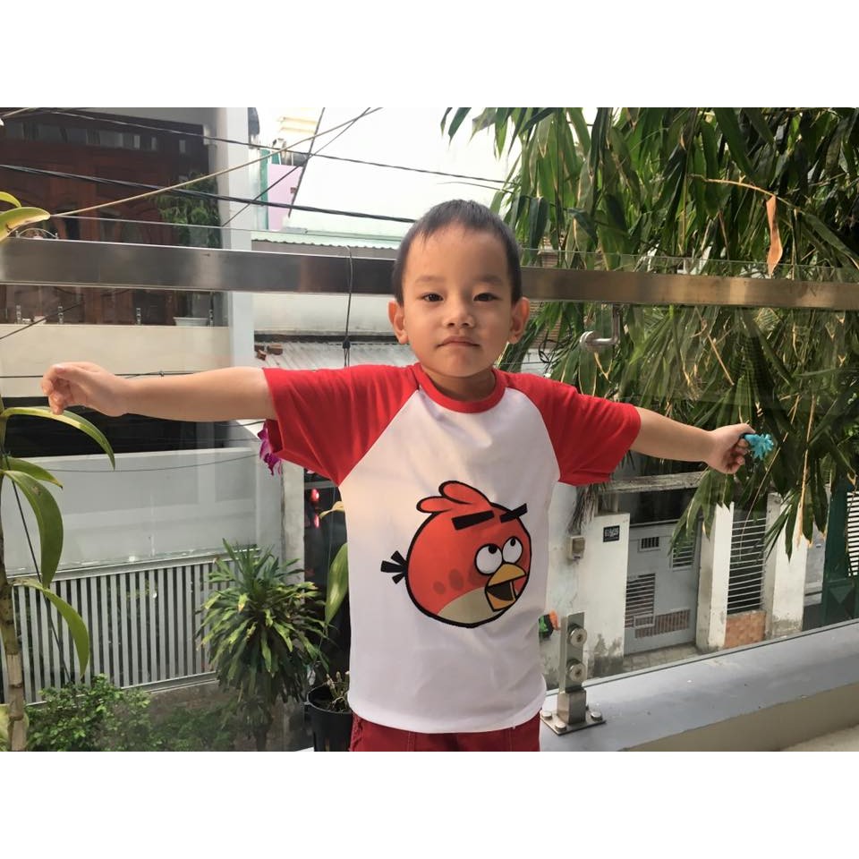 Áo Angry Bird