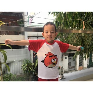 Áo Angry Bird