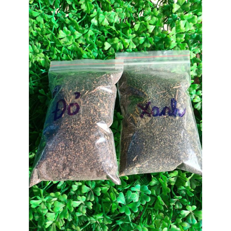 TRÀ THÁI XANH _ĐỎ