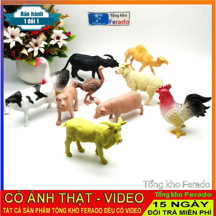 Bộ 10 mô hình đồ chơi động vật rừng cho trẻ em