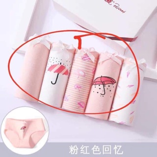 Set quần lot cotton