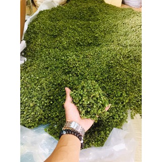 100g trà nụ tam thất bao tử