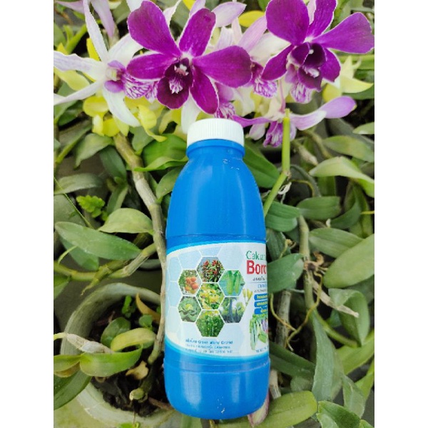 Calciam Boron 1 – Phân Bón Trung Vi Lượng 200ml