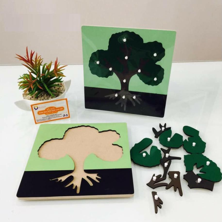 Tranh ghép sinh học - Giáo cụ Montessori