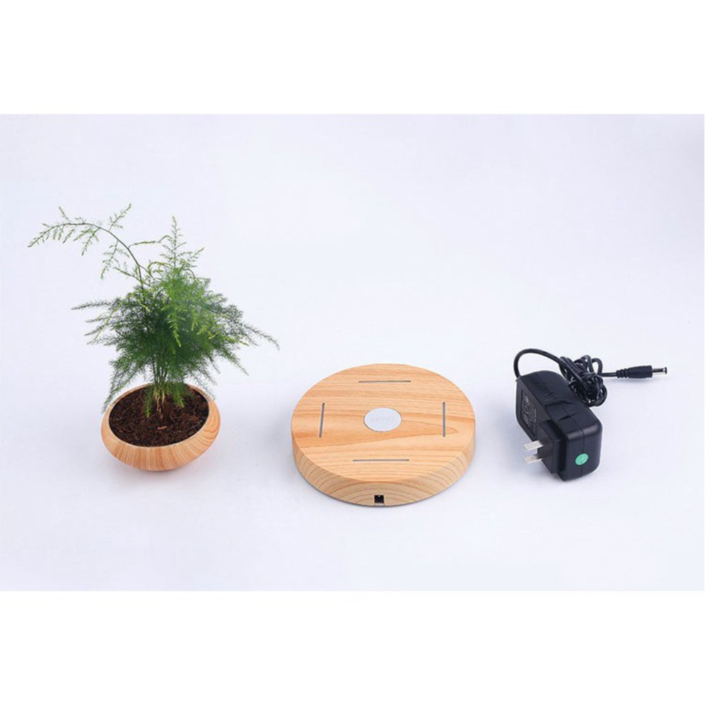 Cây bonsai bay lơ lửng vân gỗ Đen - Home & Garden