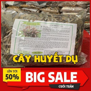 Huyết Dụ 500g - Thu Hái Tự Nhiên 100%