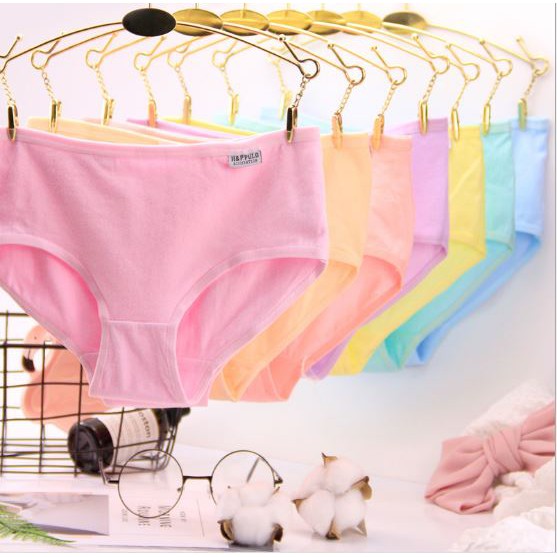 Quần chip lót nữ Pulo kháng khuẩn cotton thun lạnh dễ thương sexy gợi cảm rẻ đẹp - Đồ lót nữ A001