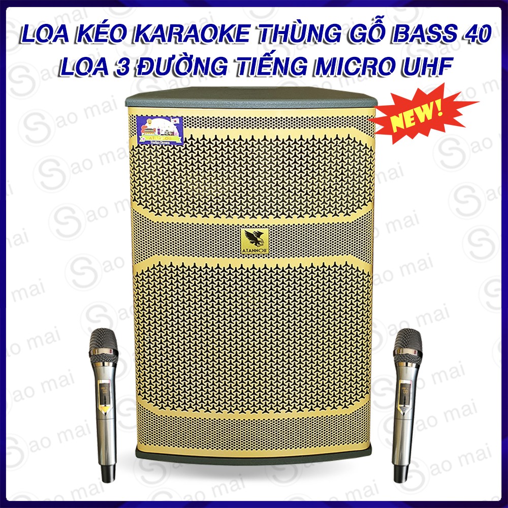 Loa kéo loa karaoke thùng gỗ, ATANNOII AT-089A công suất đỉnh 600W, kèm 2 micro ( vàng )