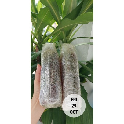 Mật ong rừng Nghệ An- 0.5 lít