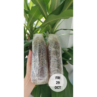 Mật ong rừng nghệ an- 0.5 lít