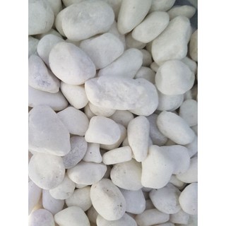 Sỏi trắng trang trí hồ cá 1kg
