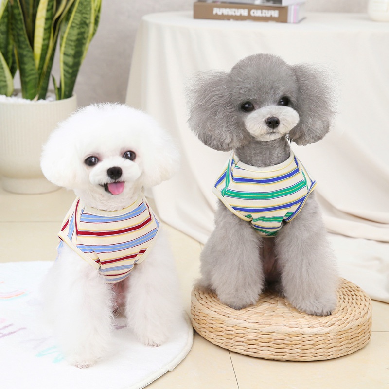 áo gấu &quot; DON'T WORRY &quot; sọc ngang dành cho chó mèo