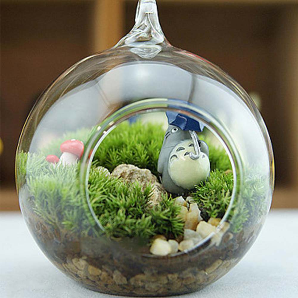 Chậu hoa thủy tinh treo sáng tạo / trang trí văn phòng / hộp thủy tinh / bình phong cảnh 8cm
