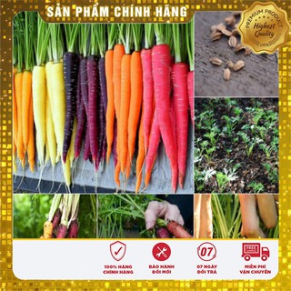 Hạt Giống Cà Rốt Nhiều Màu(100 hạt)
