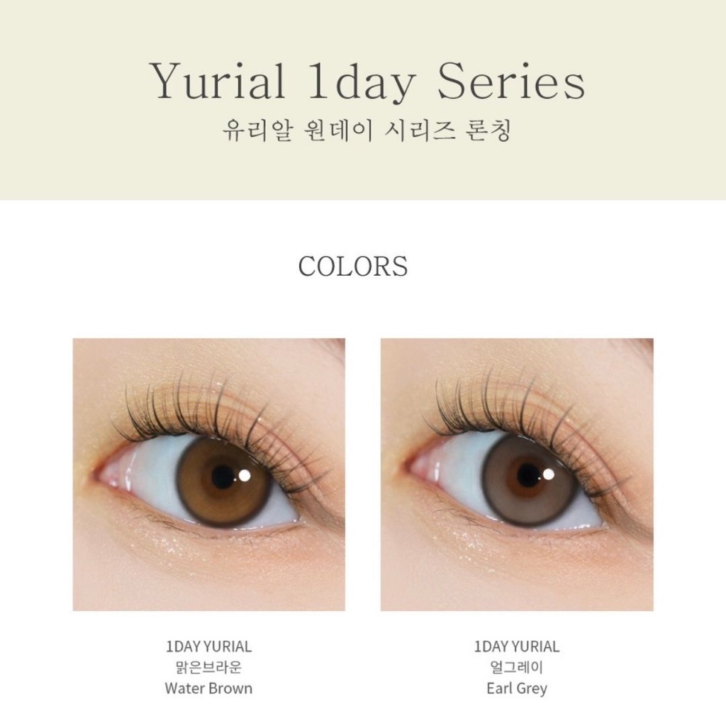 Kính áp tròng 1 NGÀY YURIAL EARL GRAY chính hãng IDOL LENS | Lens 1 ngày