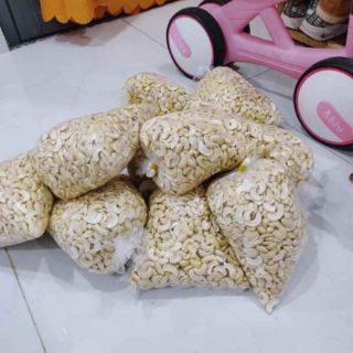 Hạt điều bể bình phước