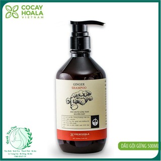 💥💧 Dầu Gội Thiên Nhiên Chứa vụn Gừng Tươi Cocayhoala 500ml [HOT NHẤT]💥💧