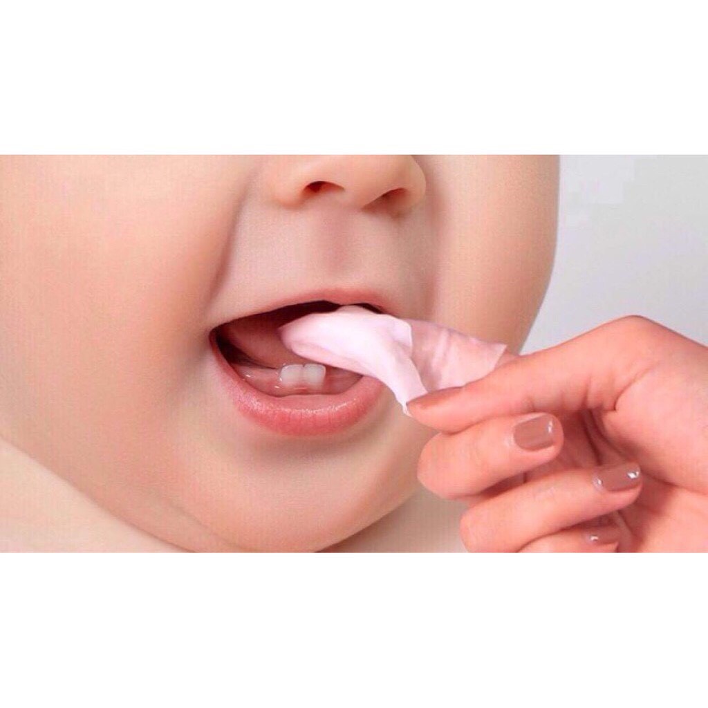 KHĂN LAU RĂNG PIGEONM- 42 MIẾNG