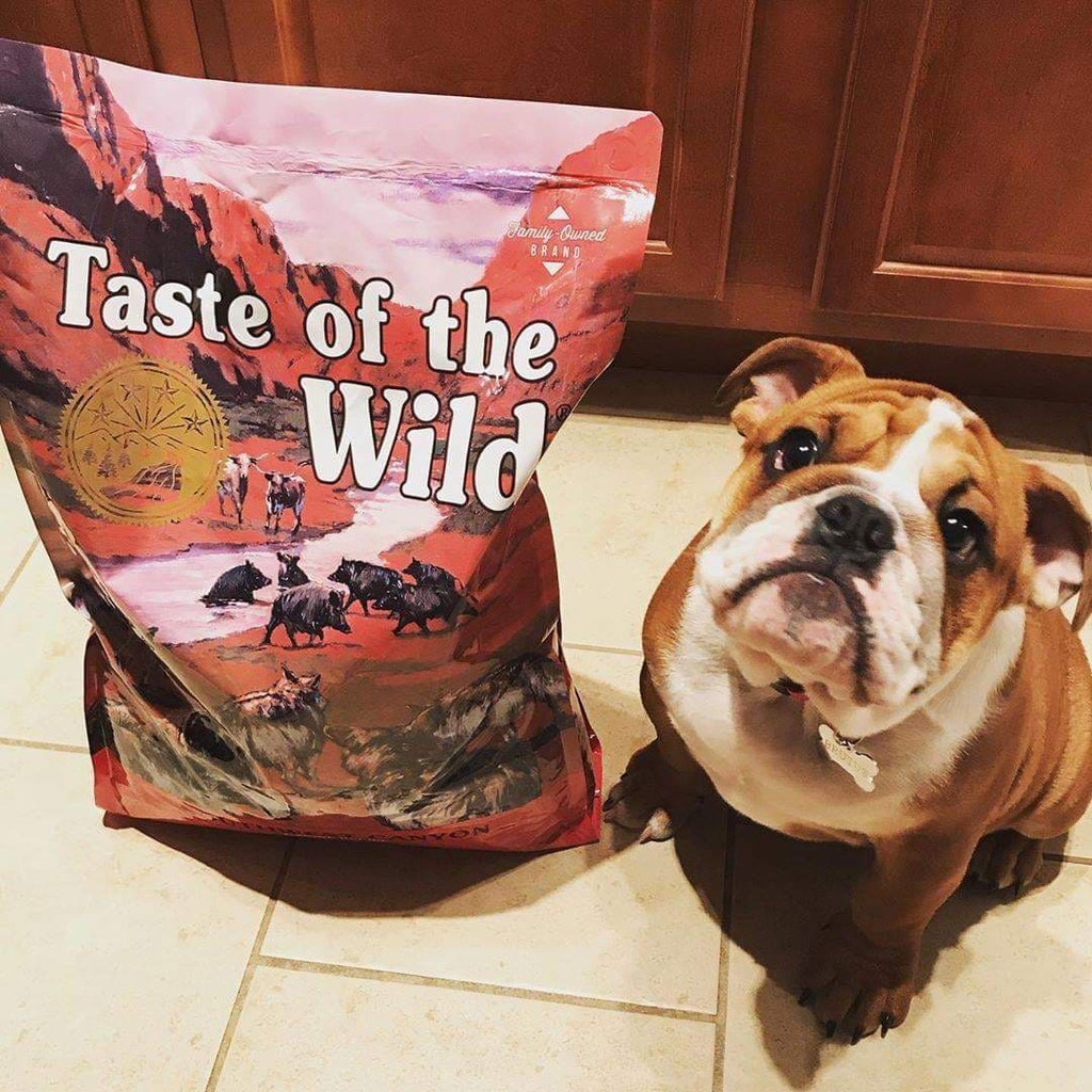Thức ăn cho chó vị Heo rừng nướng Taste of the wild Southwest Canyon Canine Recipe 12,2kg