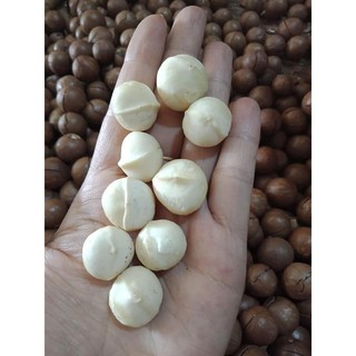 Hạt Macca mắc ca Đaklak 500g size 19~22mm/hạt