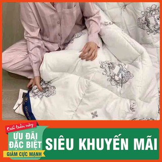 Ruột chăn bông [FREESHIP] Ruột chăn đông - Ruột chăn mùa đông chính hãng HILTON kích thước 2m x 2m3 cao cấp siêu nhẹ