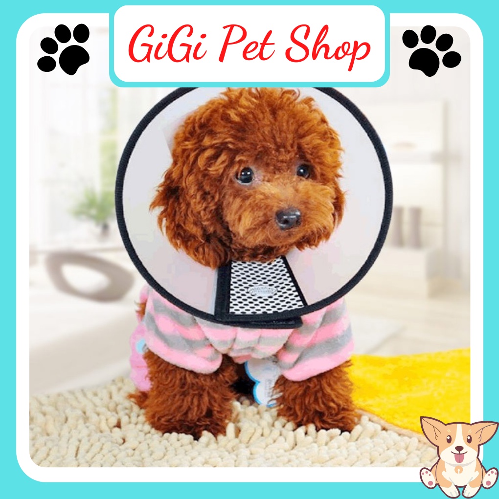 Loa chống liếm thuốc vòng đeo cổ chống cắn bậy cho chó mèo phụ kiện thú cưng giá rẻ - GiGi Pet Shop