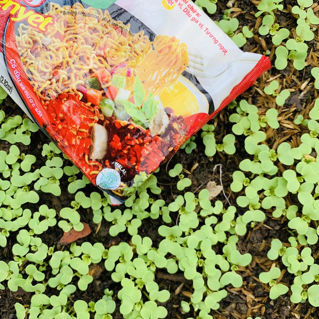 Mì xào khô INDOMIE - Mì trộn INDOMIE ngon số 1 thế giới | BigBuy360 - bigbuy360.vn