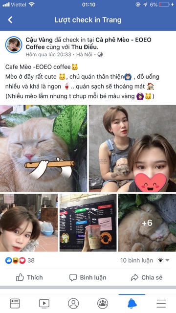 Hạt cat eye thức ăn cho mèo cao cấp