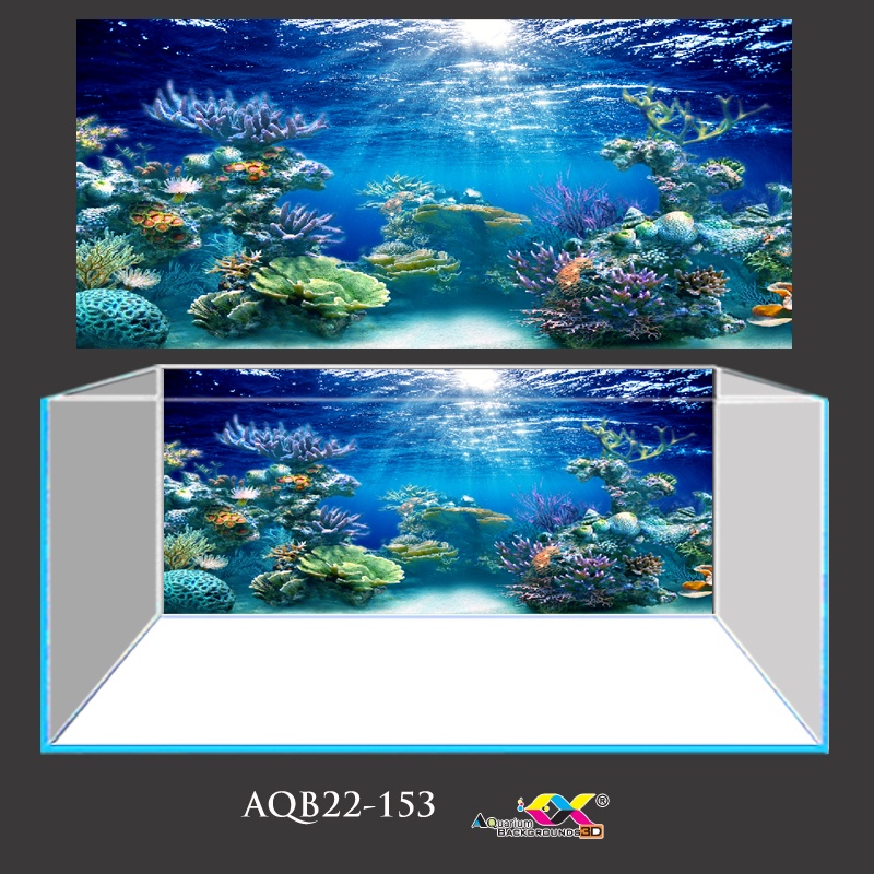 Tranh 3D Koifish - Tranh Dán Bể Cá - San Hô Xanh Dưới Biển Huyền Diệu - Keo Mặt Trước Vô Cùng Tiện Lợi