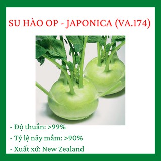 Su hào op thu hoạch chỉ sau 30-40 ngày gieo trồng, 1 gói nhiều hạt, củ to, xanh r014