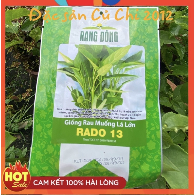[Rạng đông] Hạt giống rau muống lá to