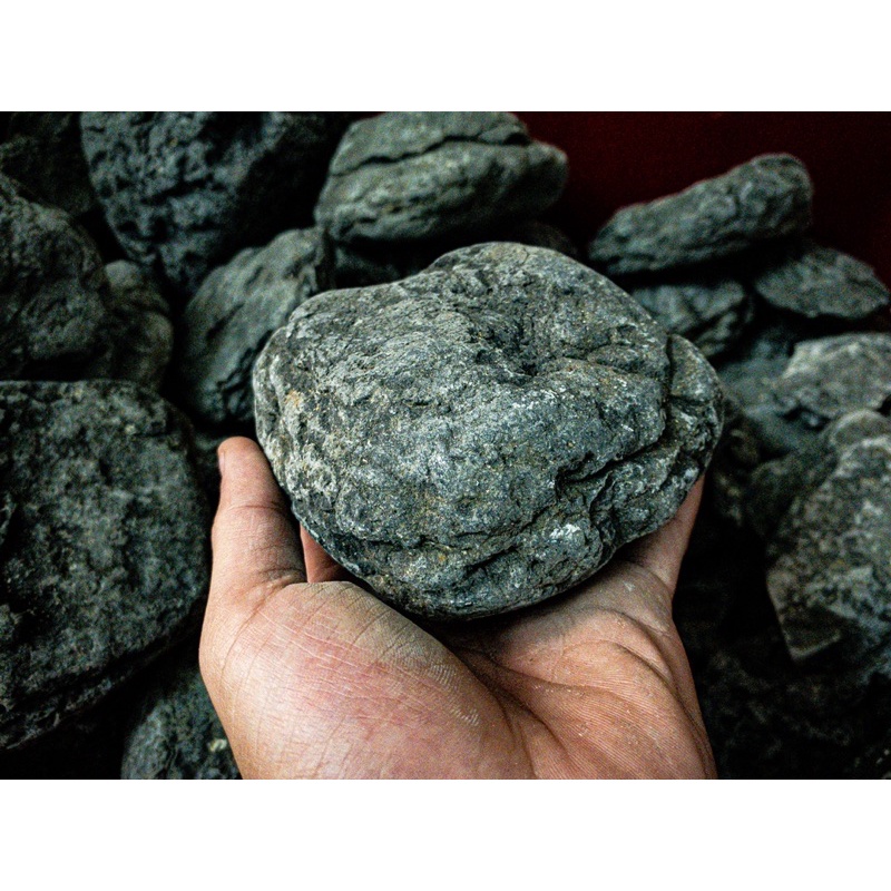 ĐÁ CUỘI ĐEN PHAN THIẾT SIÊU VÂN (1KG)| Trang trí bể Thủy sinh, Biotope, Blackwater, Iwagumi