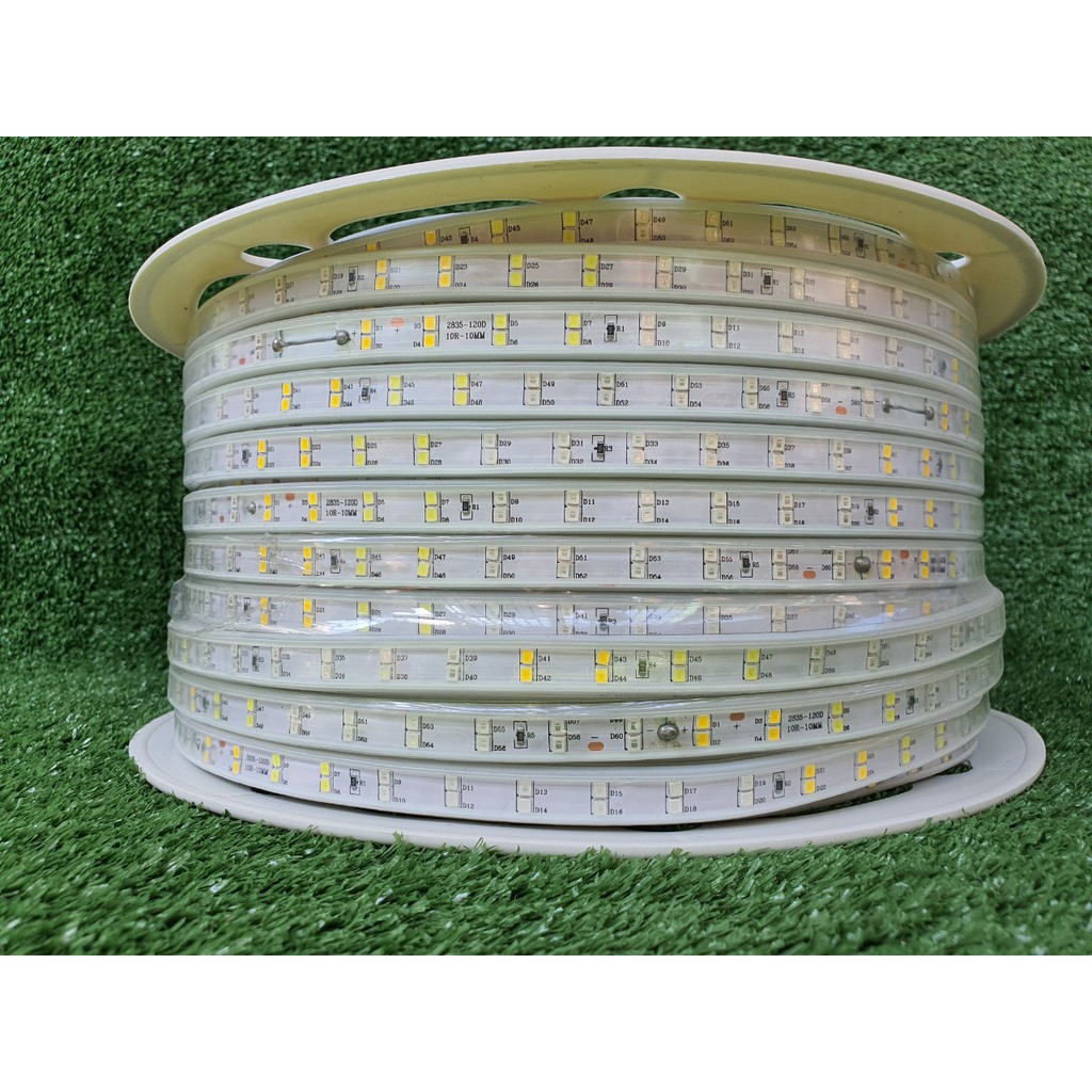 Cuộn led dây đôi 2835 - 100m (2 hàng led đôi) + tặng 5 dây nguồn