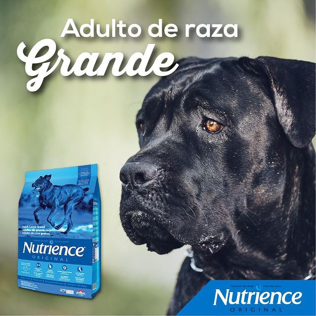 Thức Ăn Cho Chó Pitbull - Phát Triển Cơ Bắp Nutrience Original Bao 11,5kg - Thịt Gà, Gạo Lứt, Rau Củ, Trái Cây