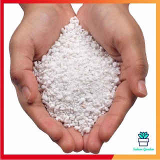 Đá perlite đá trân châu đá nhẹ, tơi xốp sử dụng làm làm đất trồng sen đá, xương rồng