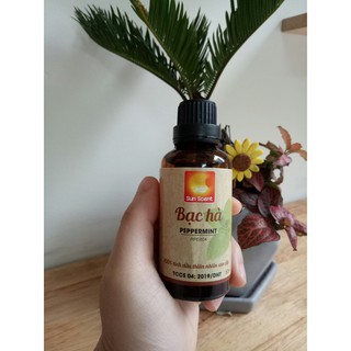 Tinh dầu BẠC HÀ nguyên chất 100%