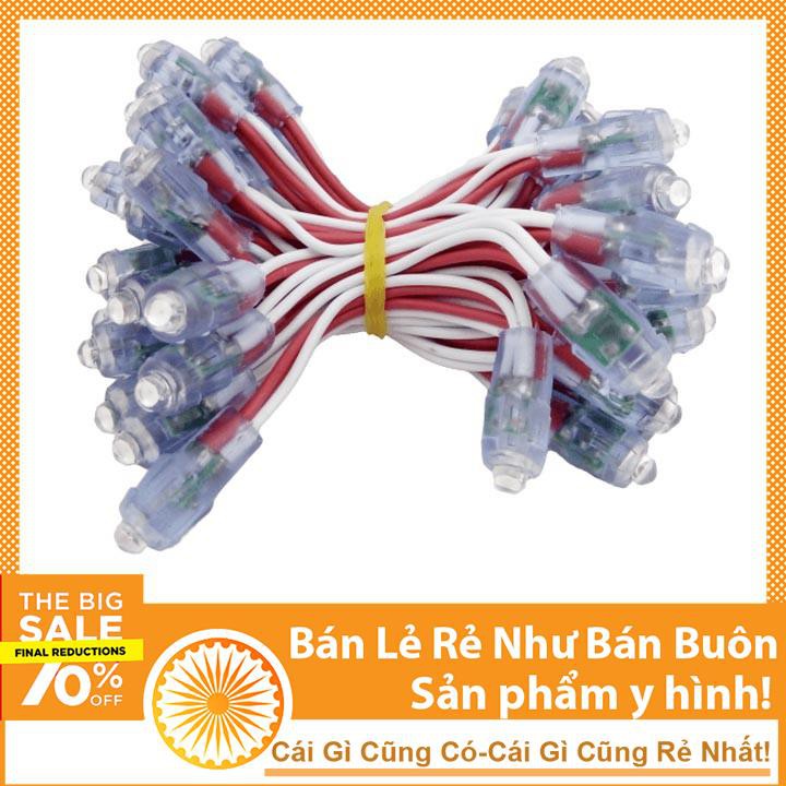 Dây 50 Led Đúc F5 - Bóng LED 5mm Đế 8mm Chống Nước Các Loại Màu