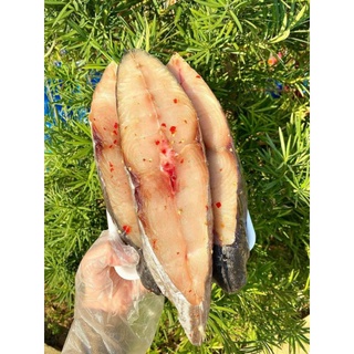 CÁ THU PHẤN TO CẮT KHÚC.khay 500g (giao hỏa tốc)