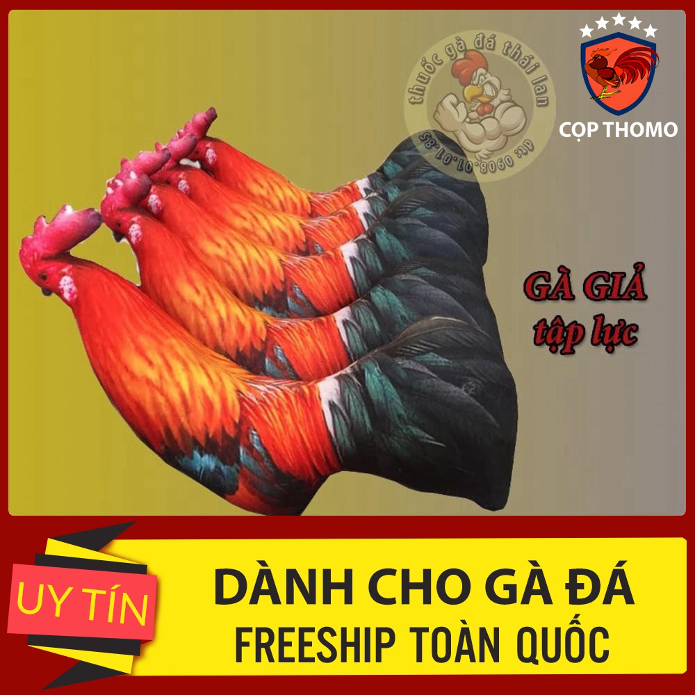 gà giả tập lực [gà tre , gà nòi , gà đá cựa sắt ]