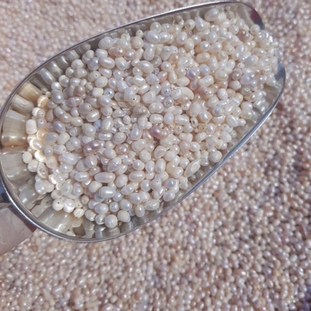 Bột ngọc trai nguyên chất 100% 100gr - trắng da, ngừa mụn, trẻ hoá , trang điểm | Bột Natural