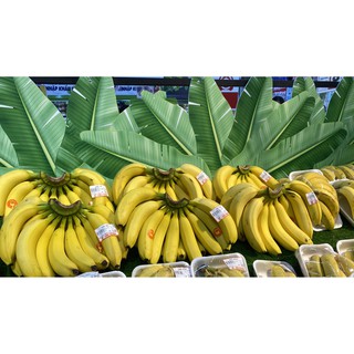 Chuối già Nam Mỹ Vietgap: chín (1kg)