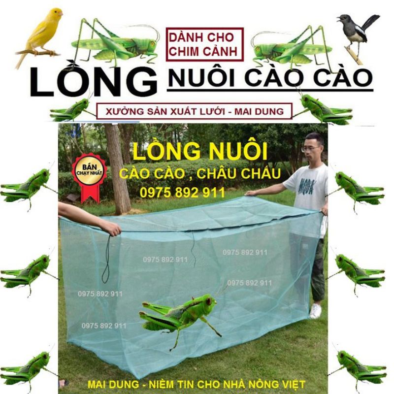 Lồng nuôi cào cào, châu chấu