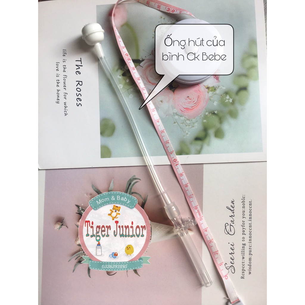 Ống Hút Thay Thế Bình Nước Little Bean, Xintiger Và CKBEBE DD246