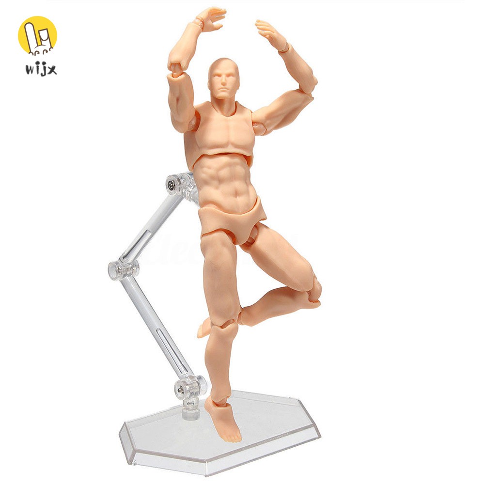 Bộ mô hình cơ thể người bằng PVC hữu ích cho vẽ phác họa
