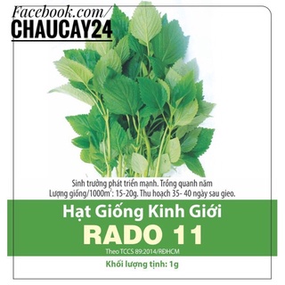 Hạt Giống Rau Kinh Giới, Rau Thơm, Rau Gia Vị Dễ Trồng, ra lá nhiều