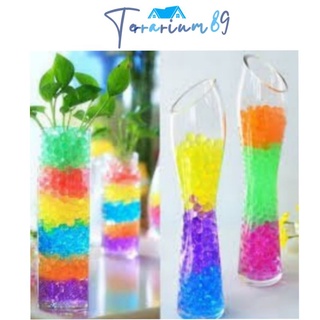Hạt nở trồng cây trang trí tiểu cảnh sắc màu