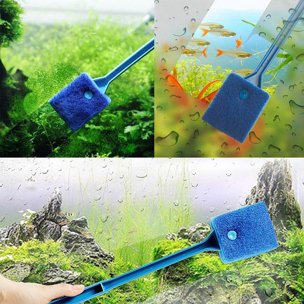 Cây Lau Kính Bể Cá H7Z1