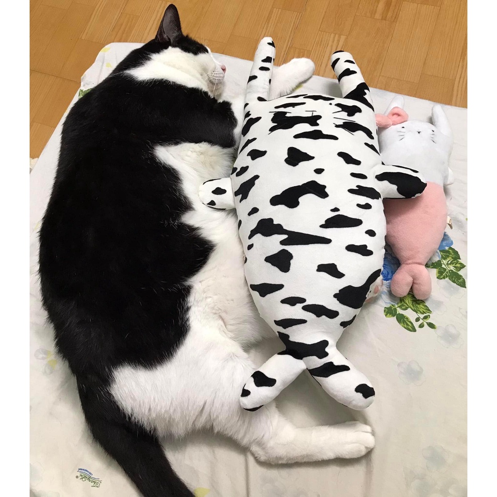 Chí Dũng Da Bò 50cm - gấu bông đình may