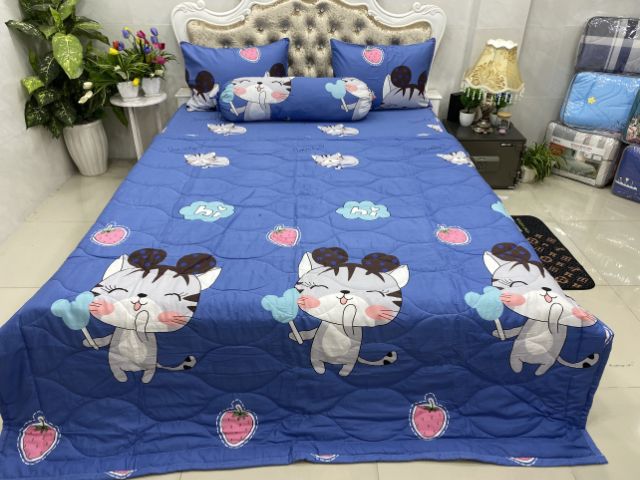 BỘ DRAP COTTON HÀN QUỐC 4 MÓN 100% COTTON