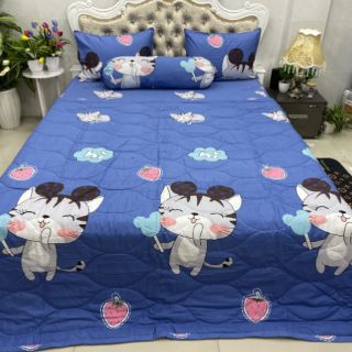 BỘ DRAP COTTON HÀN QUỐC 4 MÓN 100% COTTON